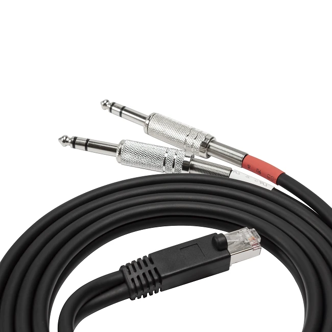 RJ45 Male To 2 X Stereo 6.3 mm TRS Audio Patch Cable